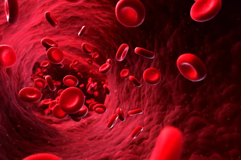 blood vessels