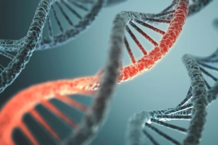 DNA mystery genes
